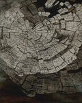 Refined Abstract Tree Rings Nordic Poster - 60X90cm Unframed / 5