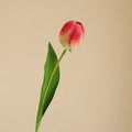 Red Pink
