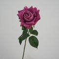 Dark Purple