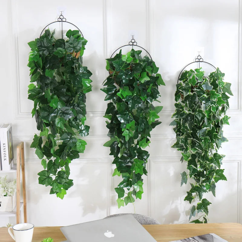 Decorative hanging plants for garden and wedding