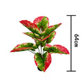 60cm No Pot Green