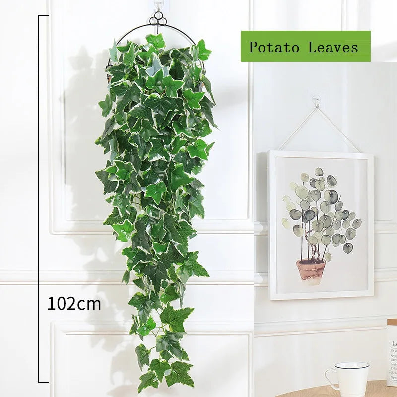 Decorative hanging plants for garden and wedding - Potato