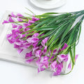 Pink Purple