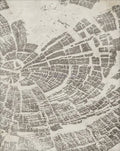 Tree Rings Abstract Wall Art Poster, Natural and Modern - 60X80cm Unframed / 16