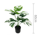 55cm No Pot White