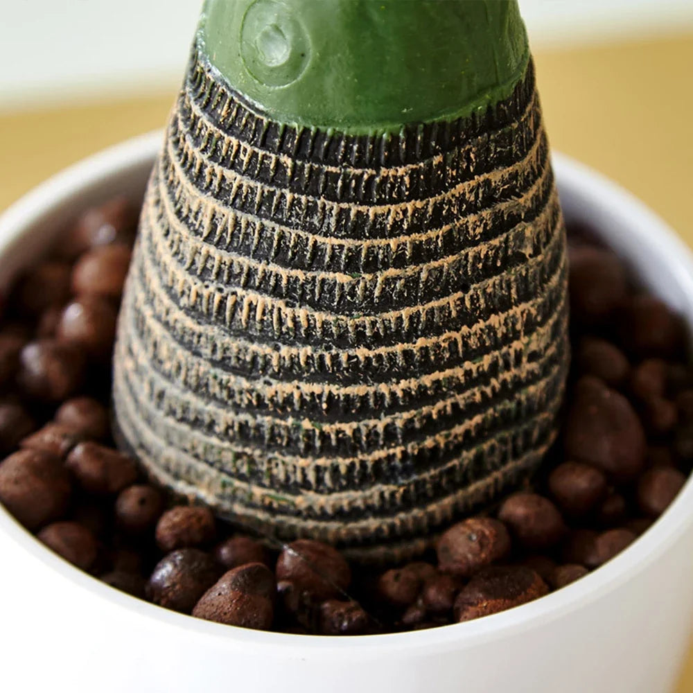 Tropical artificial banana pot for interior and exterior decoration - view 6