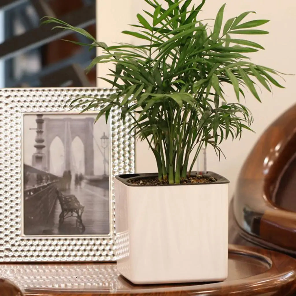 White Self Watering Planter, Water Indicator, Modern Decorative Planter Pot for all House Plants Flowers, Herbs, Vegetables - view 3