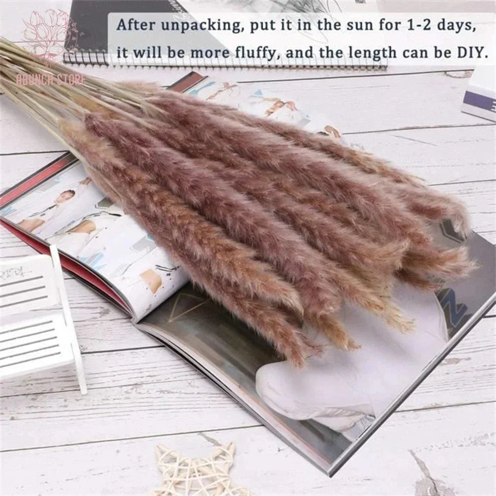 100 bouquets of grass of pampa for bohemian wedding decoration - view 4
