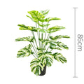 75cmNoPot Light Green