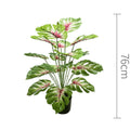 75cm No Pot Red