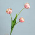 Champagne Pink