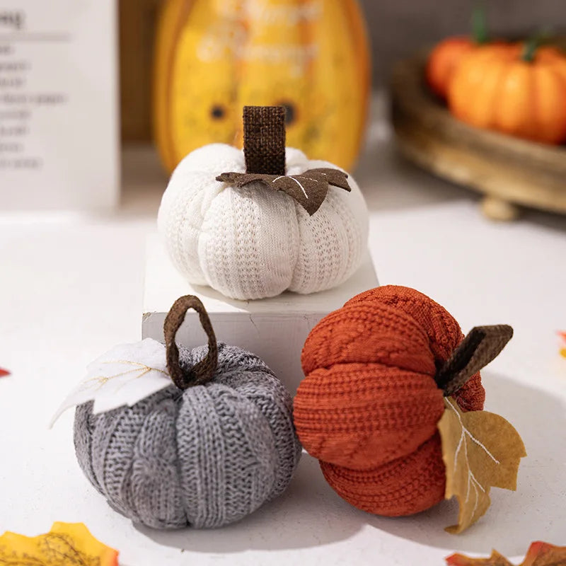Decorative pumpkins for autumn thanksgiving and halloween
