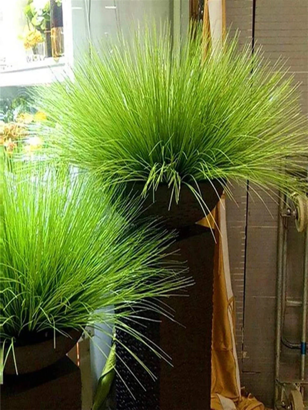 Artificial plants onion grass for wedding garden interior decoration - view 2