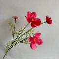 Pink Red