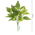 Tea Leaf1