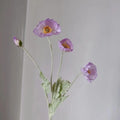 Light Purple Poppy