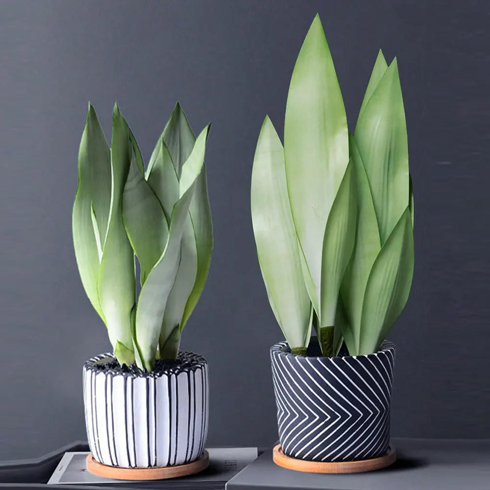 Succulent artificial plastic plants for interior decoration - view 4