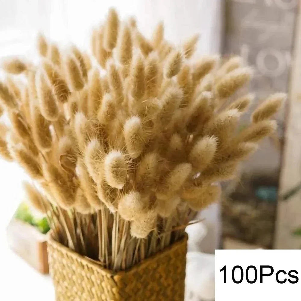 100 bouquets of grass of pampa for bohemian wedding decoration - M