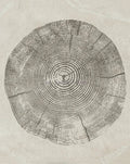 Abstract posters on the rings of the trees for wall decoration - 60X80cm Unframed / 19