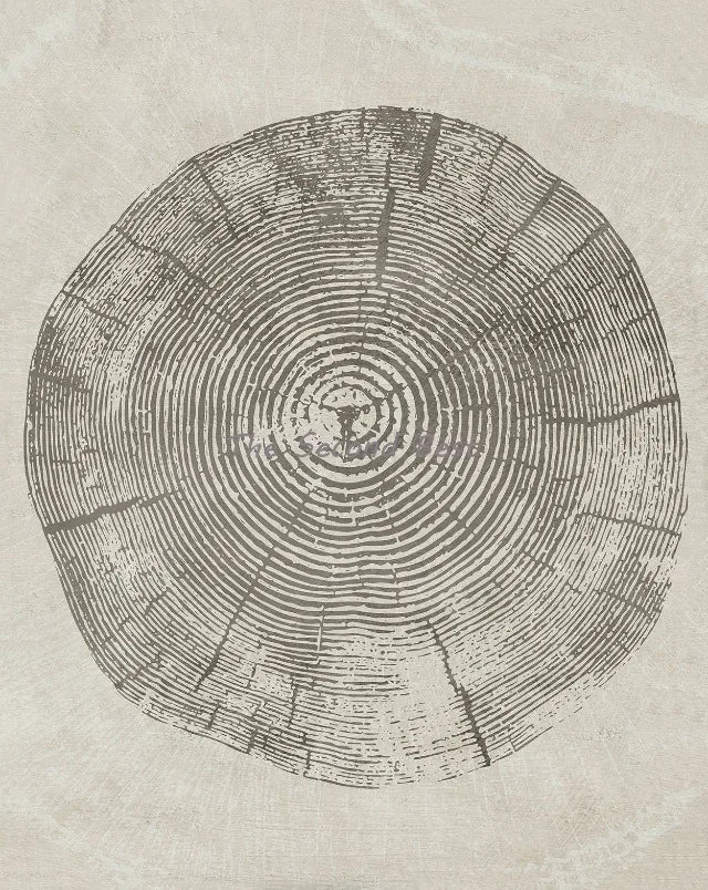 Abstract posters on the rings of the trees for wall decoration - 60X80cm Unframed / 19