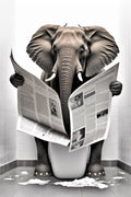 Humorous wall decoration with canvas animals - A4 21X30cm Unframed / 3