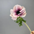 Pink Purple
