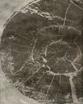 Abstract Tree Rings Artistic Canvas Wall Decoration, Design 7 - 60X90cm Unframed / 7
