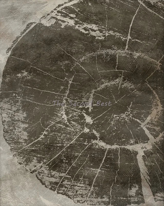 Abstract Tree Rings Artistic Canvas Wall Decoration, Design 7 - 60X90cm Unframed / 7