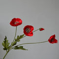 Type B Red