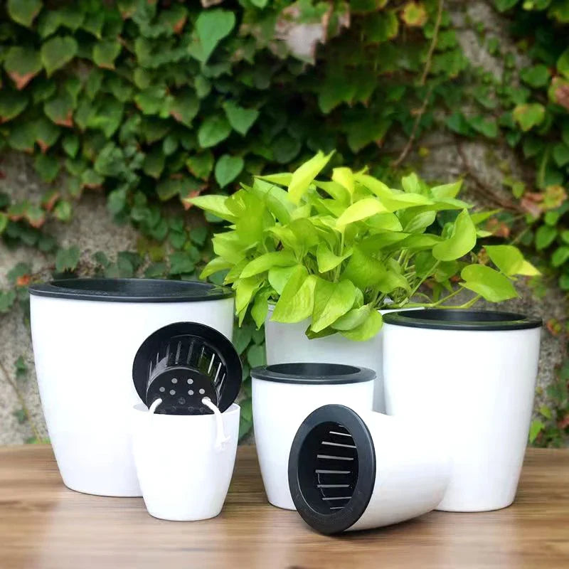 Modern self-watering gardener for succulent plants and orchids - view 3