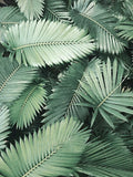 5D Diamond Painting Kit with Green Plant, Design 7894 - 7894 / 50*70cm