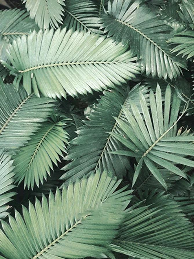 5D Diamond Painting Kit with Green Plant, Design 7894 - 7894 / 50*70cm