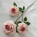 Pink Heart