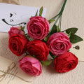 Pink Red And Red