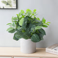Artificial plants pothos to be hung for interior decoration