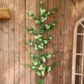 White Green