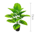 75cm No Pot Green