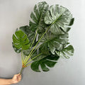 Artificial turtle leaves for interior decoration green plants - Dos tortue 91cm