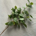 Long emerald green