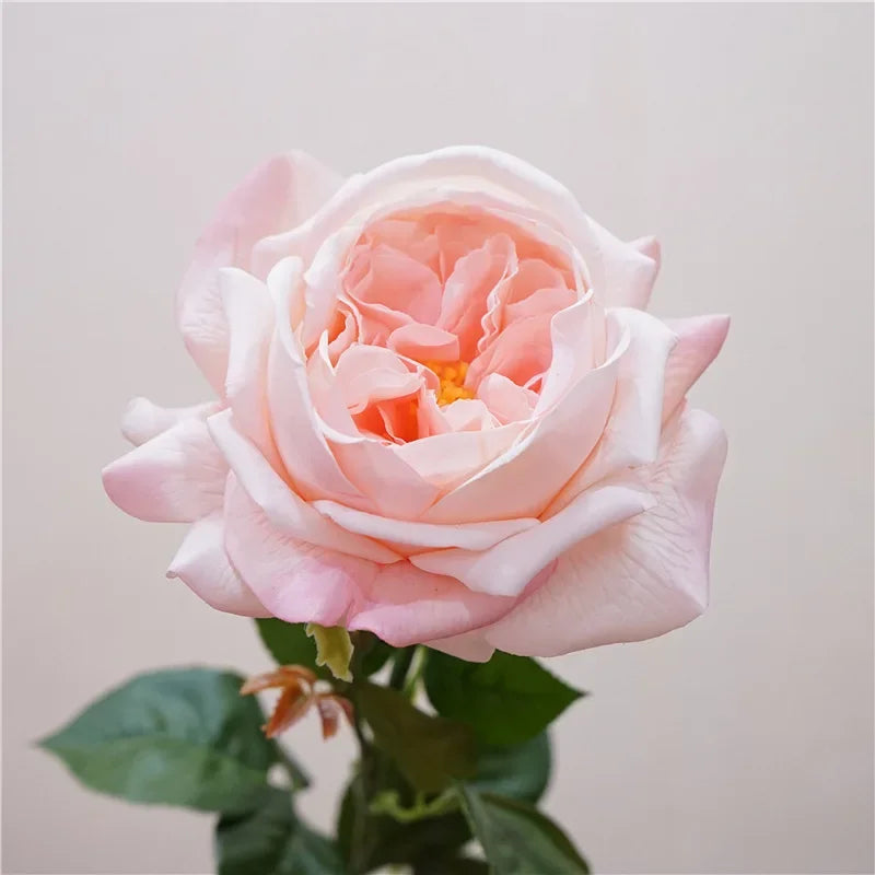 Artificial rose branch for a romantic and decorative gift - Pink