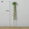 30 cm