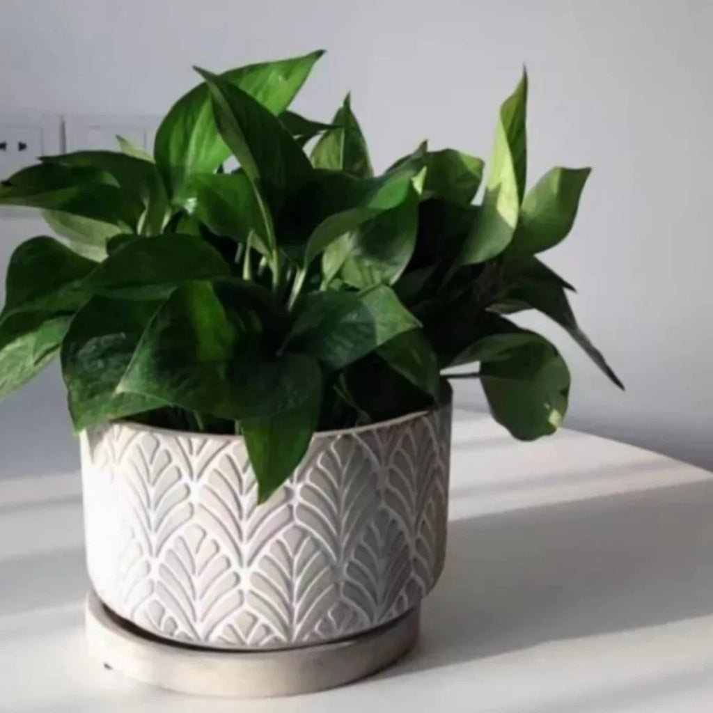 Silicone mould for flower pot concrete pattern sheets - view 4