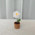 Gardenia