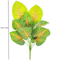 53cm Red Green