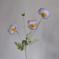 Purple Blue Poppy