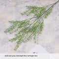 Petite herbe d'eau
