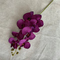 Dark Purple