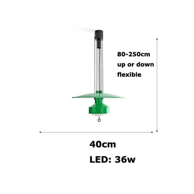 Minimalist Flexible LED Aluminum Chandelier, Advanced-Tech Design - Warm light / 40cm green