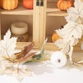 Autumn decoration maple leaf for thanksgiving