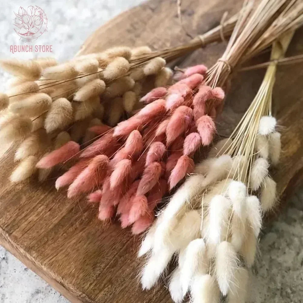 Bouquet of dried flowers rabbit tail for festive decorations